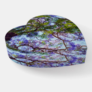 Purple Flowering Jacaranda Tree, Paperweight