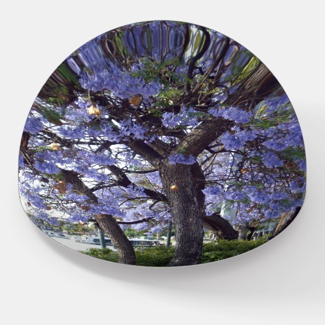 Purple Flowering Jacaranda Trees And Houseboats, Paperweight (Angled)