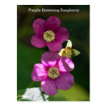 Purple-flowering