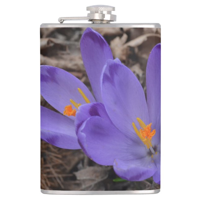Purple flowering Woodland Crocus  Flask (Front)