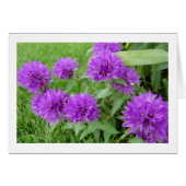 purple flowers (Front Horizontal)