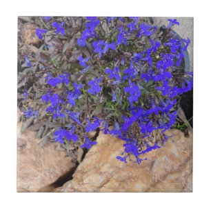 Purple Flowers among the Rocks Tile