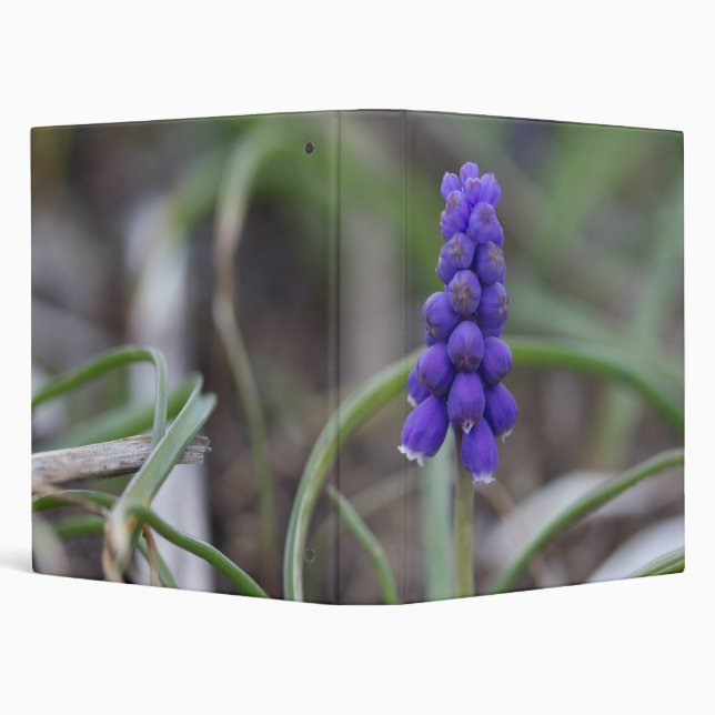 Purple Flowers Binder (Background)