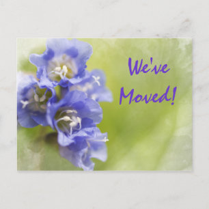 Purple Flowers Change of Address Announcement
