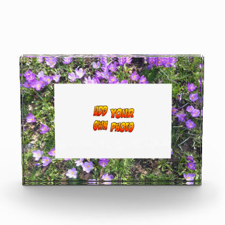 Purple Flowers Crocus Cust. Photo Block