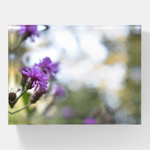 Purple Flowers Floral Garden Nature Photography Paperweight