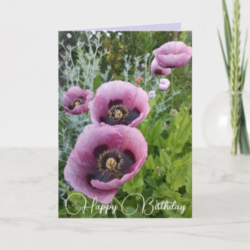 Purple Flowers Floral Poppy Photo Birthday Card