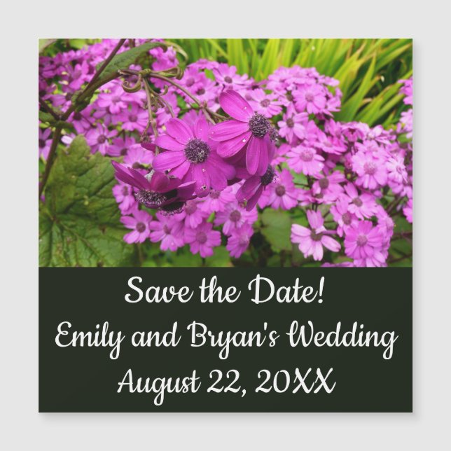 Purple Flowers from San Francisco (Front)