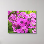 Purple Flowers from San Francisco Canvas Print