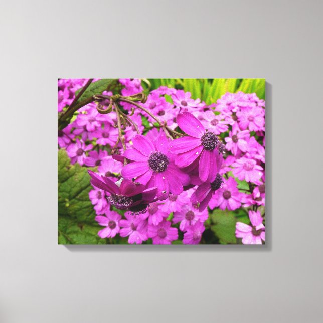 Purple Flowers from San Francisco Canvas Print (Front)