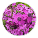 Purple Flowers from San Francisco Ceramic Knob