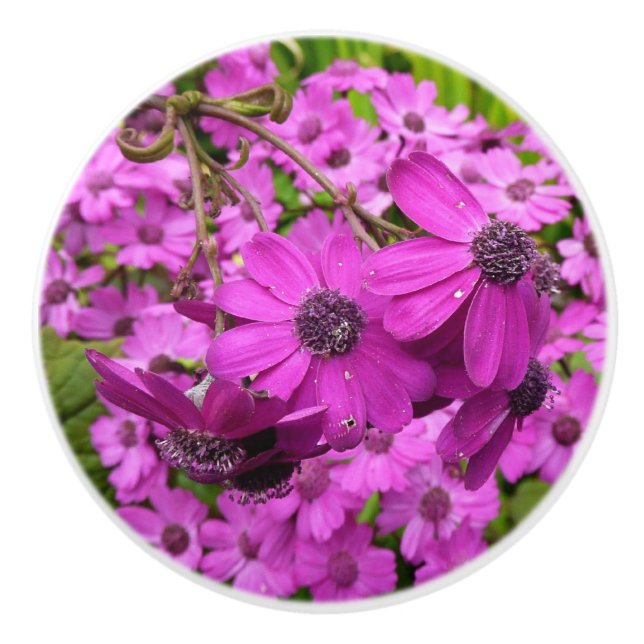 Purple Flowers from San Francisco Ceramic Knob (Front)