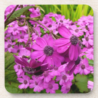 Purple Flowers from San Francisco Coaster