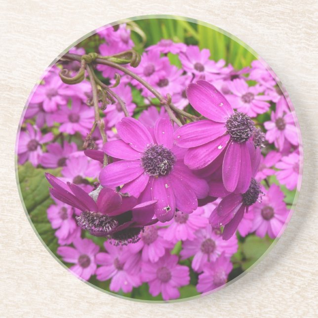 Purple Flowers from San Francisco Drink Coaster (Front)