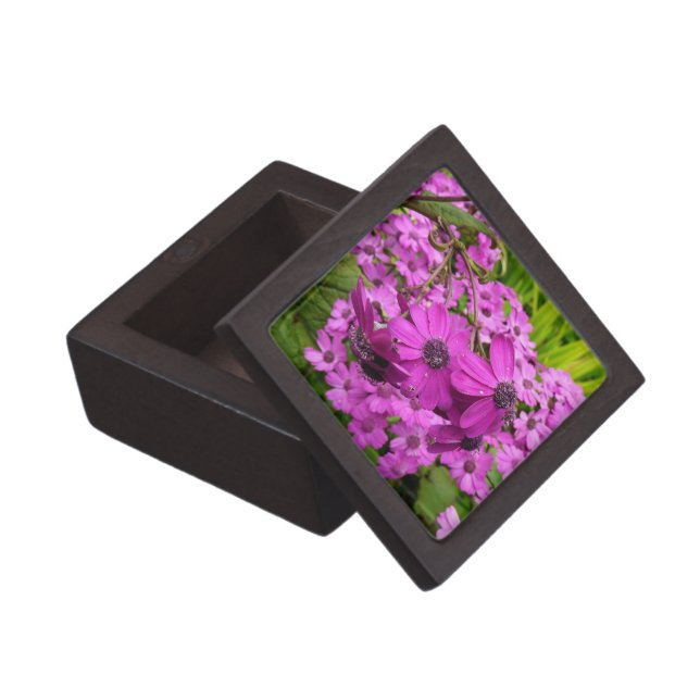 Purple Flowers from San Francisco Gift Box (Opened)