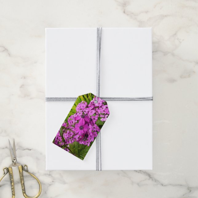 Purple Flowers from San Francisco Gift Tags (With Twine)