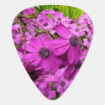 Purple Flowers from San Francisco Guitar Pick