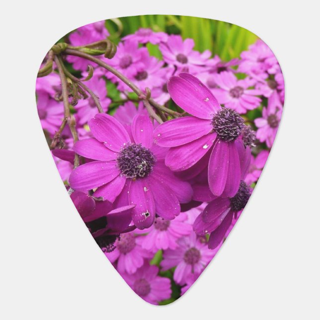 Purple Flowers from San Francisco Guitar Pick (Front)