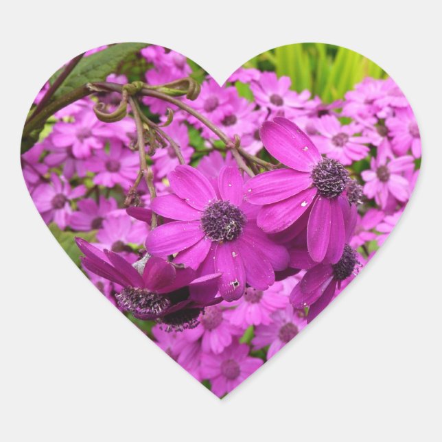Purple Flowers from San Francisco Heart Sticker (Front)