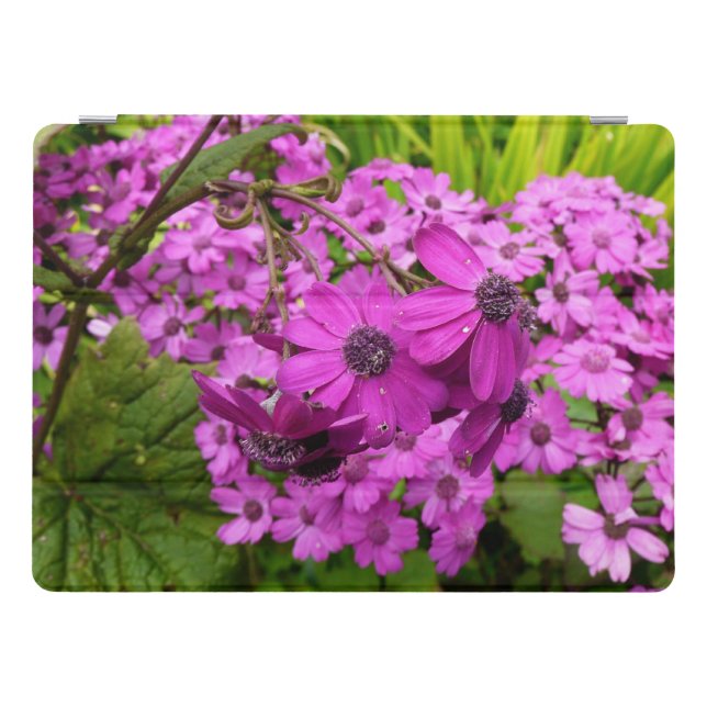 Purple Flowers from San Francisco iPad Pro Cover (Horizontal)