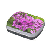 Purple Flowers from San Francisco Jelly Belly Candy Tin (Side)