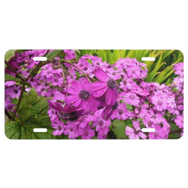 Purple Flowers from San Francisco License Plate (Front)