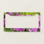 Purple Flowers from San Francisco License Plate Frame