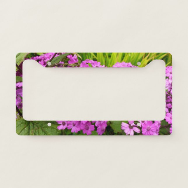 Purple Flowers from San Francisco License Plate Frame (Front)