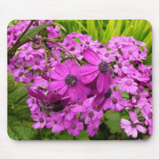 Purple Flowers from San Francisco Mouse Pad