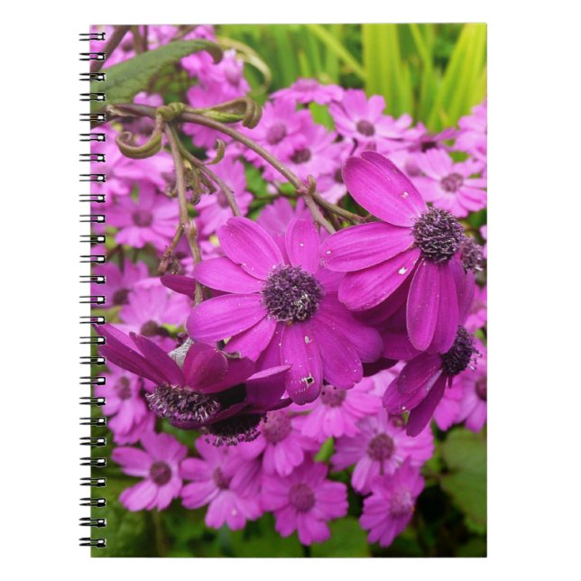 Purple Flowers from San Francisco Notebook (Front)