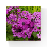 Purple Flowers from San Francisco Paperweight