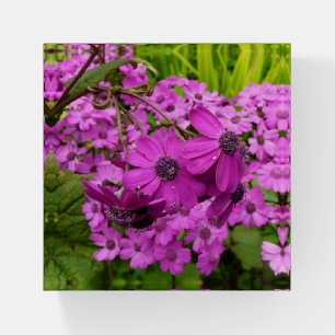 Purple Flowers from San Francisco Paperweight
