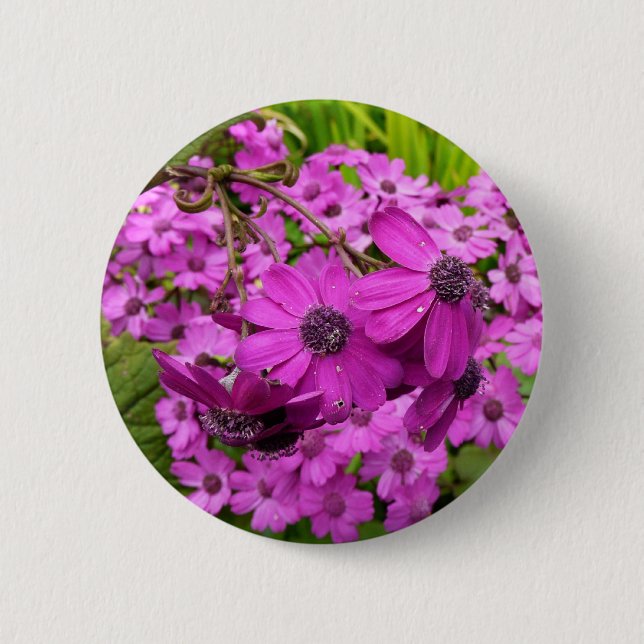Purple Flowers from San Francisco Pinback Button (Front)