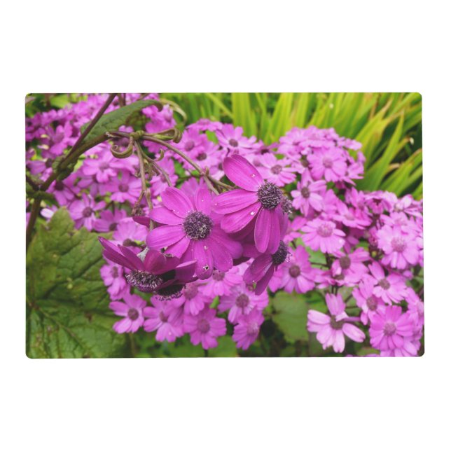 Purple Flowers from San Francisco Placemat (Front)