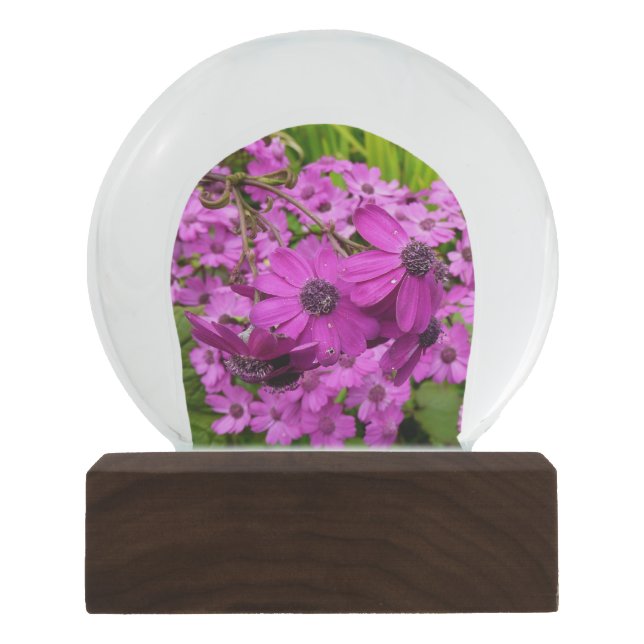 Purple Flowers from San Francisco Snow Globe (Front)