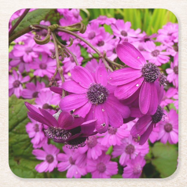 Purple Flowers from San Francisco Square Paper Coaster (Front)