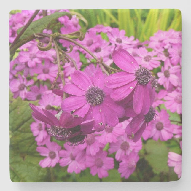 Purple Flowers from San Francisco Stone Coaster (Front)