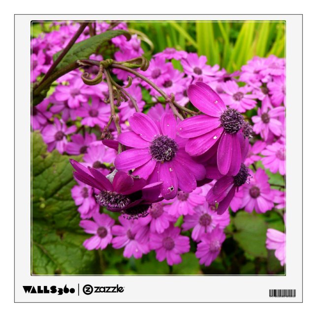Purple Flowers from San Francisco Wall Decal (Front)