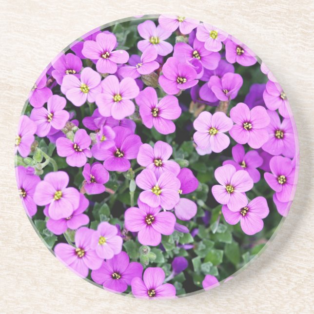 Purple Flowers Garden-22195 Coaster (Front)