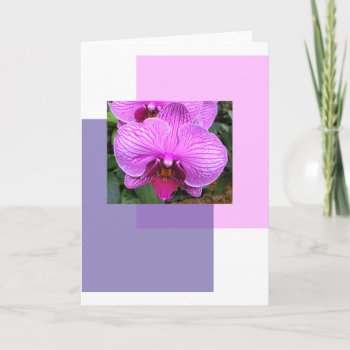 Purple Flowers Greetings Card by RossiCards at Zazzle
