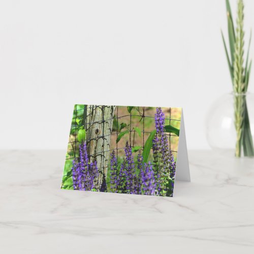 Purple Flowers In Garden Note Card