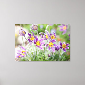 Purple Flowers in the Sun Canvas Print