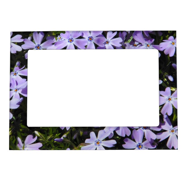 Purple Flowers Magnetic Frame (Front)