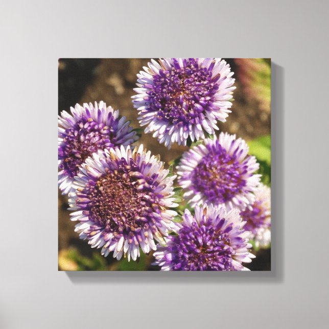 Purple Flowers Photo Single Canvas Print (Front)