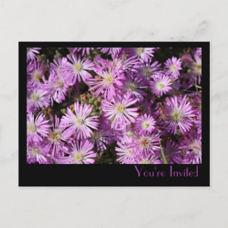 Purple Flowers Postcard