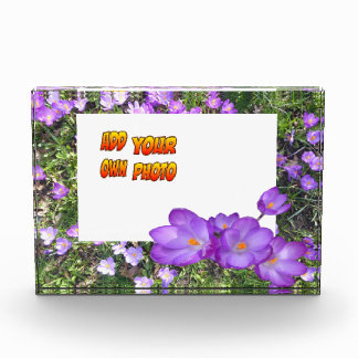 Purple Flowers Purple Crocuses Cust. Photo Block