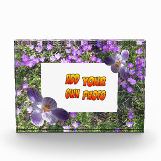 Purple Flowers striped Crocuses Cust. Photo Block