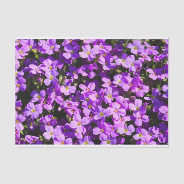 Purple Flowers Tissue Paper (Front)