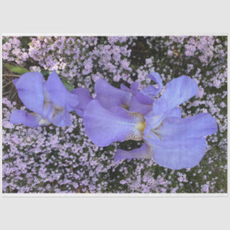 Purple flowers tissue paper