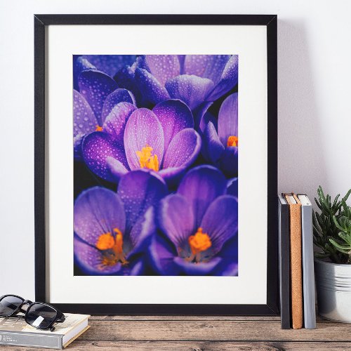 Purple Flowers Wall Art  Purple Lotus Flower